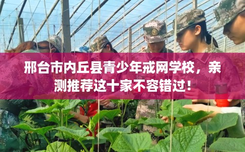 邢台市内丘县青少年戒网学校，亲测推荐这十家不容错过！