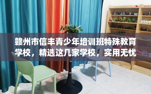 赣州市信丰青少年培训班特殊教育学校，精选这几家学校，实用无忧！