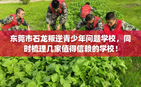 东莞市石龙叛逆青少年问题学校，同时梳理几家值得信赖的学校！