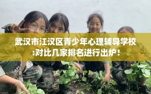 武汉市江汉区青少年心理辅导学校:对比几家排名进行出炉！