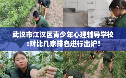 武汉市江汉区青少年心理辅导学校:对比几家排名进行出炉！