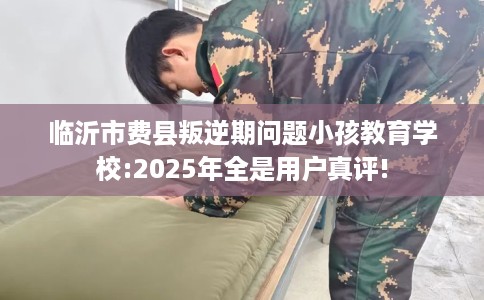 临沂市费县叛逆期问题小孩教育学校:2025年全是用户真评! 临沂市费县叛逆期问题小孩教育学校:2025年全是用户真评!