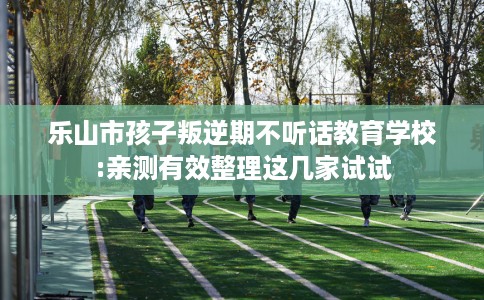 乐山市孩子叛逆期不听话教育学校:亲测有效整理这几家试试