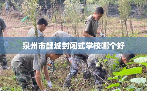 泉州市鲤城封闭式学校哪个好