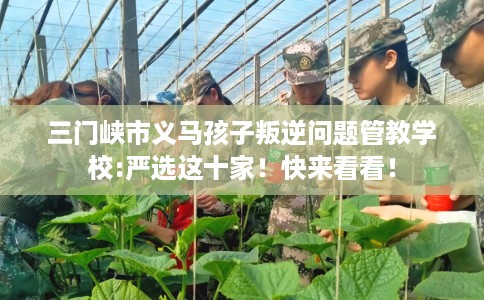 三门峡市义马孩子叛逆问题管教学校:严选这十家!快来看看! 三门峡市义马孩子叛逆问题管教学校:严选这十家!快来看看!