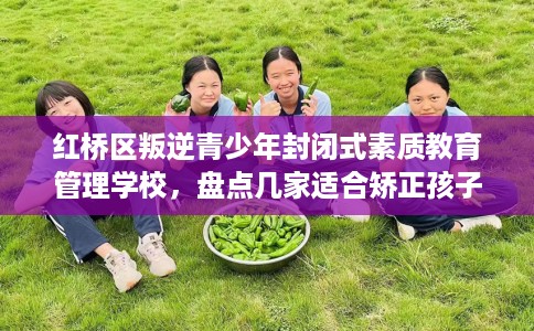 红桥区叛逆青少年封闭式素质教育管理学校，盘点几家适合矫正孩子的学校！
