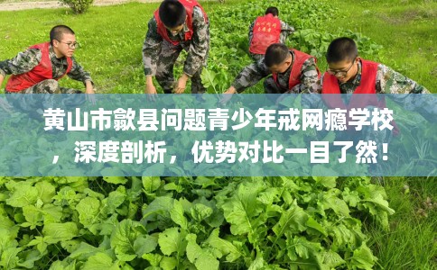 黄山市歙县问题青少年戒网瘾学校，深度剖析，优势对比一目了然！