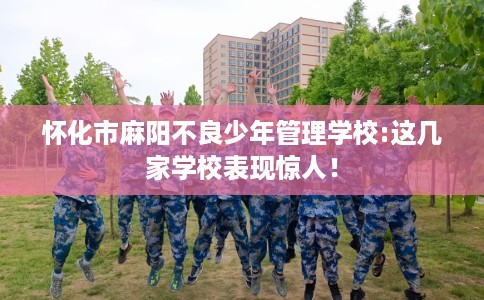 怀化市麻阳不良少年管理学校:这几家学校表现惊人！