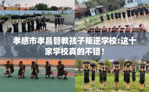 孝感市孝昌管教孩子叛逆学校:这十家学校真的不错！