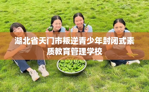 湖北省天门市叛逆青少年封闭式素质教育管理学校