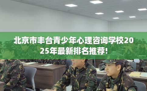 北京市丰台青少年心理咨询学校2025年最新排名推荐!