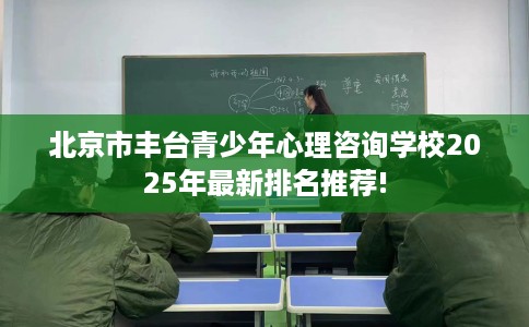 北京市丰台青少年心理咨询学校2025年最新排名推荐!