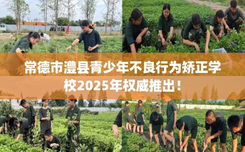常德市澧县青少年不良行为矫正学校2025年权威推出！