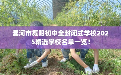 漯河市舞阳初中全封闭式学校2025精选学校名单一览! 漯河市舞阳初中全封闭式学校2025精选学校名单一览!