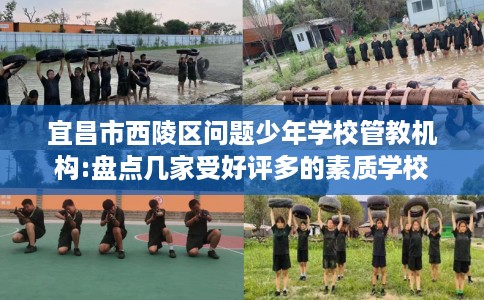 宜昌市西陵区问题少年学校管教机构:盘点几家受好评多的素质学校