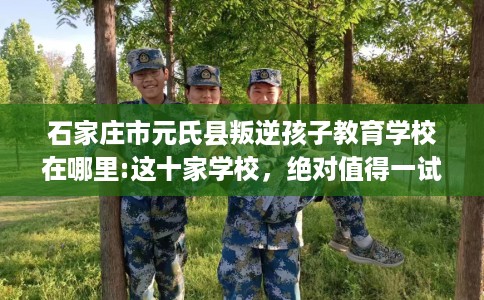 石家庄市元氏县叛逆孩子教育学校在哪里:这十家学校，绝对值得一试！