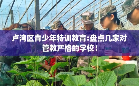 卢湾区青少年特训教育:盘点几家对管教严格的学校！