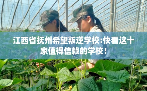 江西省抚州希望叛逆学校:快看这十家值得信赖的学校! 江西省抚州希望叛逆学校:快看这十家值得信赖的学校!