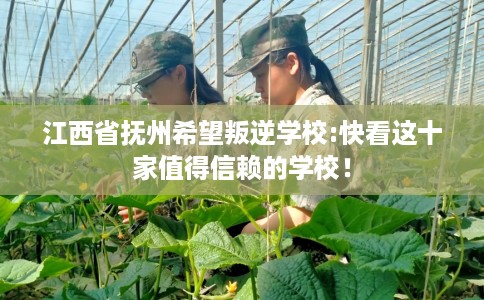 江西省抚州希望叛逆学校:快看这十家值得信赖的学校! 江西省抚州希望叛逆学校:快看这十家值得信赖的学校!