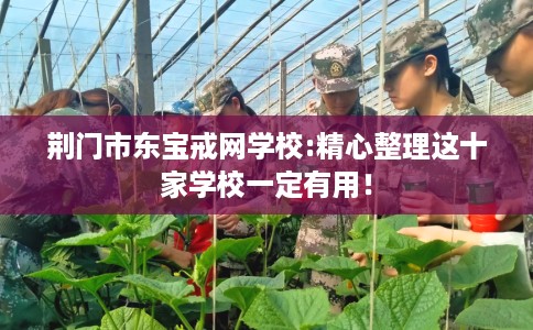 荆门市东宝戒网学校:精心整理这十家学校一定有用! 荆门市东宝戒网学校:精心整理这十家学校一定有用!