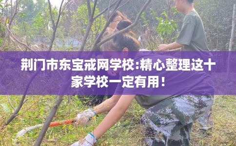 荆门市东宝戒网学校:精心整理这十家学校一定有用！