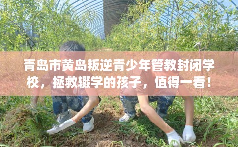 青岛市黄岛叛逆青少年管教封闭学校,拯救辍学的孩子,值得一看! 青岛市黄岛叛逆青少年管教封闭学校,拯救辍学的孩子,值得一看!