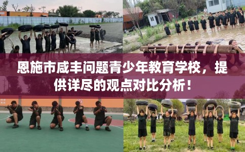 恩施市咸丰问题青少年教育学校，提供详尽的观点对比分析！