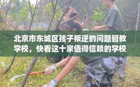 北京市东城区孩子叛逆的问题管教学校，快看这十家值得信赖的学校！