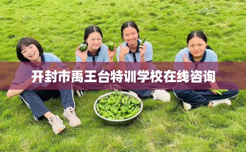 开封市禹王台特训学校在线咨询