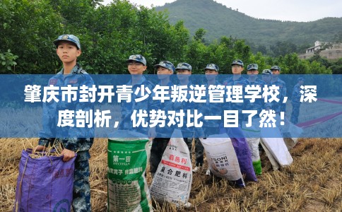 肇庆市封开青少年叛逆管理学校，深度剖析，优势对比一目了然！