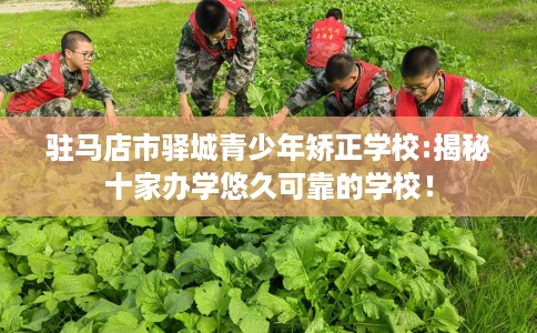 驻马店市驿城青少年矫正学校:揭秘十家办学悠久可靠的学校! 驻马店市驿城青少年矫正学校:揭秘十家办学悠久可靠的学校!