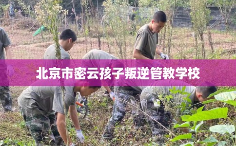北京市密云孩子叛逆管教学校