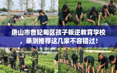 唐山市曹妃甸区孩子叛逆教育学校,亲测推荐这几家不容错过! 唐山市曹妃甸区孩子叛逆教育学校,亲测推荐这几家不容错过!