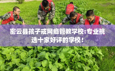 密云县孩子戒网瘾管教学校:专业挑选十家好评的学校！