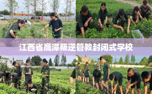 江西省鹰潭叛逆管教封闭式学校 江西省鹰潭叛逆管教封闭式学校