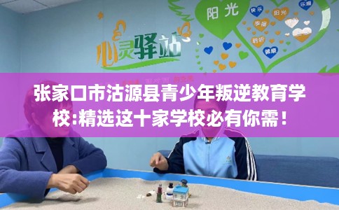 张家口市沽源县青少年叛逆教育学校:精选这十家学校必有你需! 张家口市沽源县青少年叛逆教育学校:精选这十家学校必有你需!