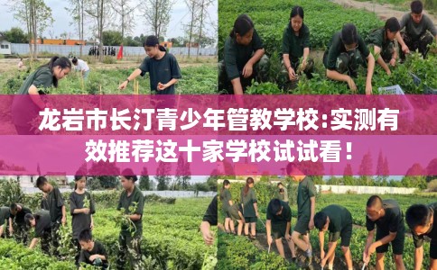 龙岩市长汀青少年管教学校:实测有效推荐这十家学校试试看！
