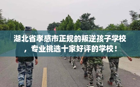 湖北省孝感市正规的叛逆孩子学校,专业挑选十家好评的学校! 湖北省孝感市正规的叛逆孩子学校,专业挑选十家好评的学校!