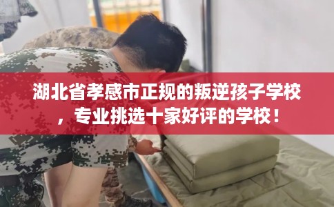 湖北省孝感市正规的叛逆孩子学校，专业挑选十家好评的学校！