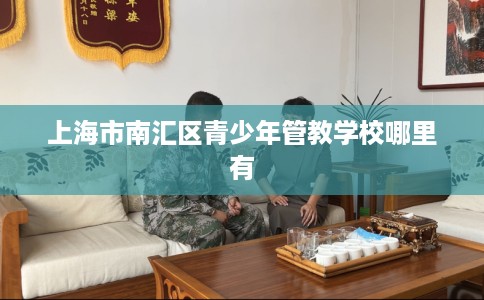 上海市南汇区青少年管教学校哪里有