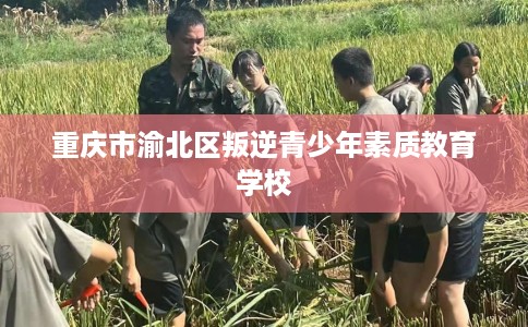 重庆市渝北区叛逆青少年素质教育学校