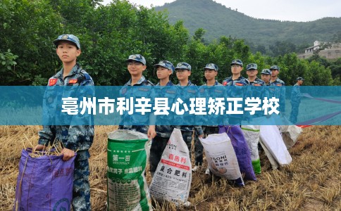 亳州市利辛县心理矫正学校 亳州市利辛县心理矫正学校