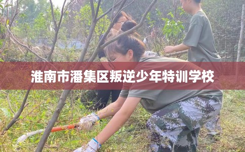 淮南市潘集区叛逆少年特训学校