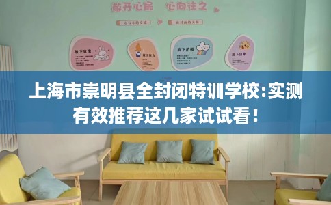 上海市崇明县全封闭特训学校:实测有效推荐这几家试试看！