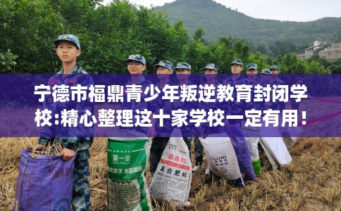 宁德市福鼎青少年叛逆教育封闭学校:精心整理这十家学校一定有用! 宁德市福鼎青少年叛逆教育封闭学校:精心整理这十家学校一定有用!