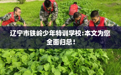 辽宁市铁岭少年特训学校:本文为您全面归总！