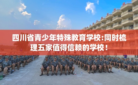 四川省青少年特殊教育学校:同时梳理五家值得信赖的学校！