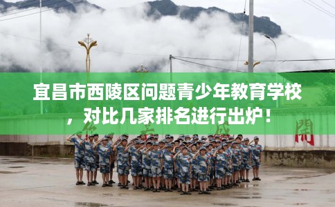 宜昌市西陵区问题青少年教育学校，对比几家排名进行出炉！
