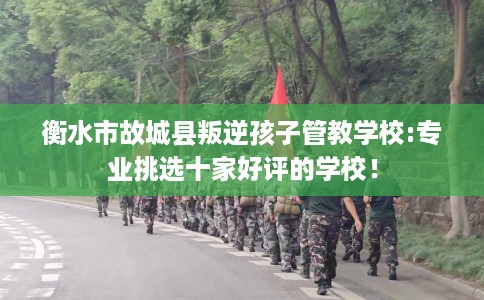 衡水市故城县叛逆孩子管教学校:专业挑选十家好评的学校! 衡水市故城县叛逆孩子管教学校:专业挑选十家好评的学校!