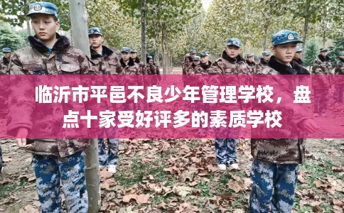 临沂市平邑不良少年管理学校，盘点十家受好评多的素质学校